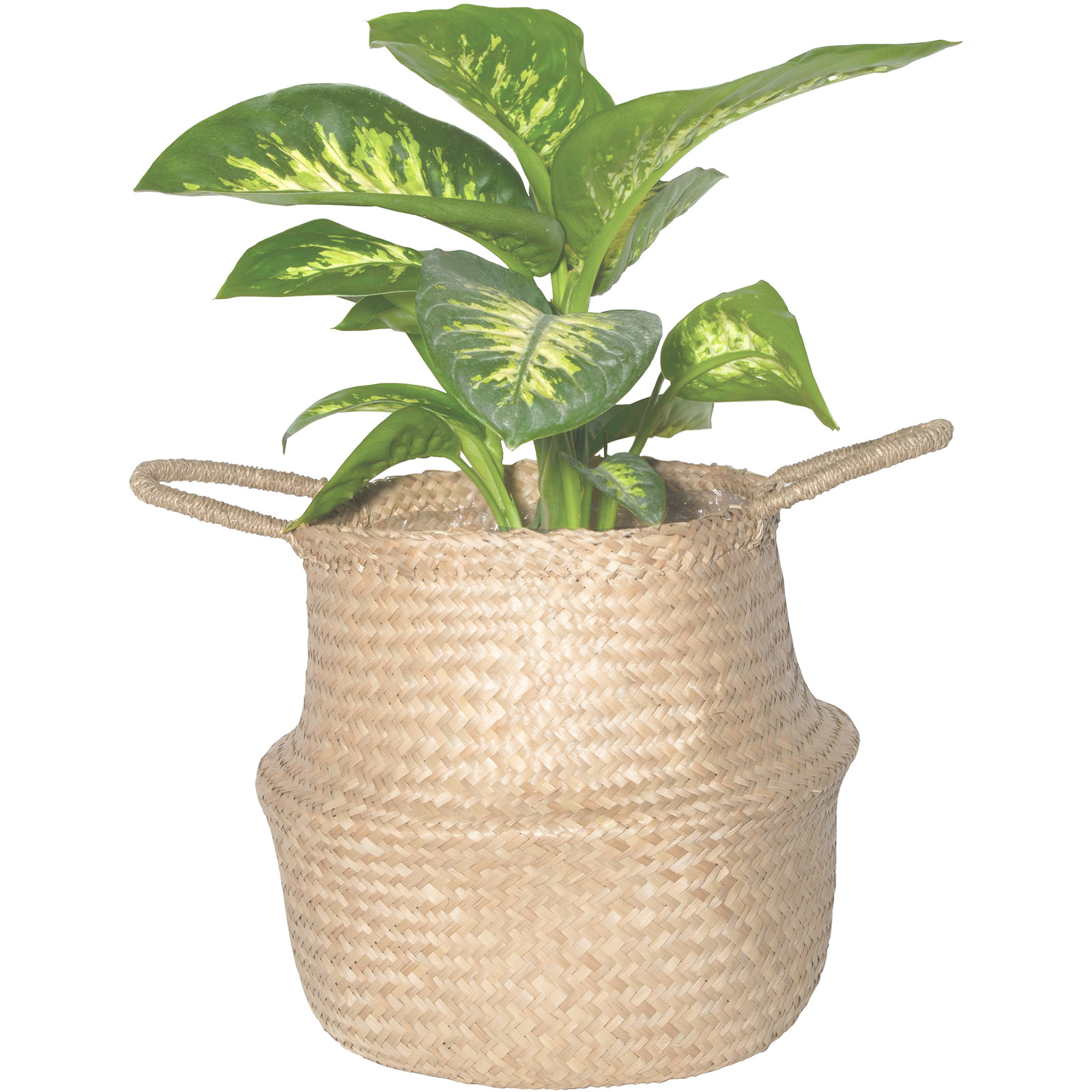 Seagrass Plant Basket